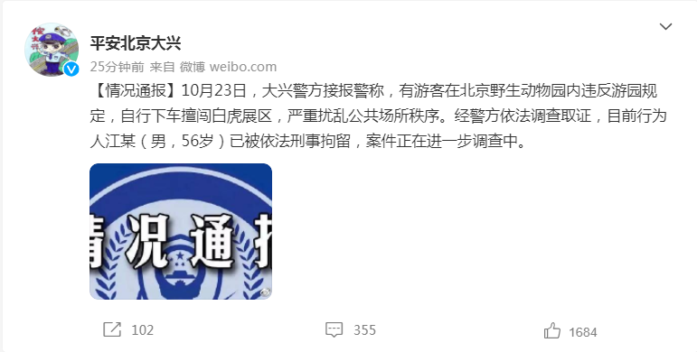 《“老虎都懵了”！北京一游客突然冲进虎群，挑衅11只白虎！警方回应…》