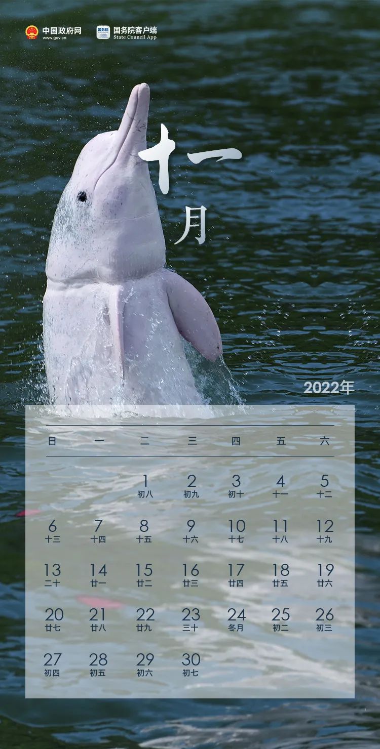 3132657310110329856.jpeg
