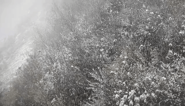 5710907255031440384.gif