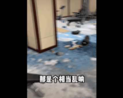 7880518643350345728.gif