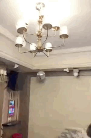 1179984573945026560.gif