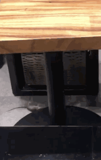 2868246254754307072.gif
