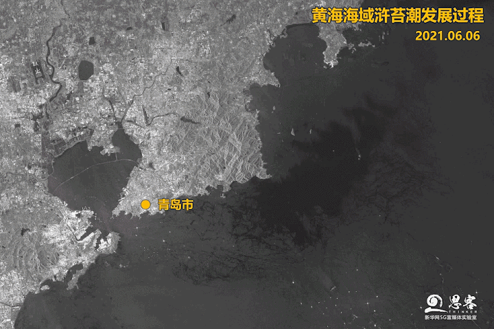 2912966745345371136.gif