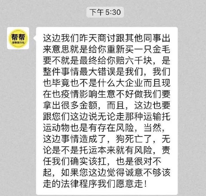 收空运的钱却走陆运？宠物托运途中死亡多部门介入陈乔恩愤怒发声泛亚电竞(图7)