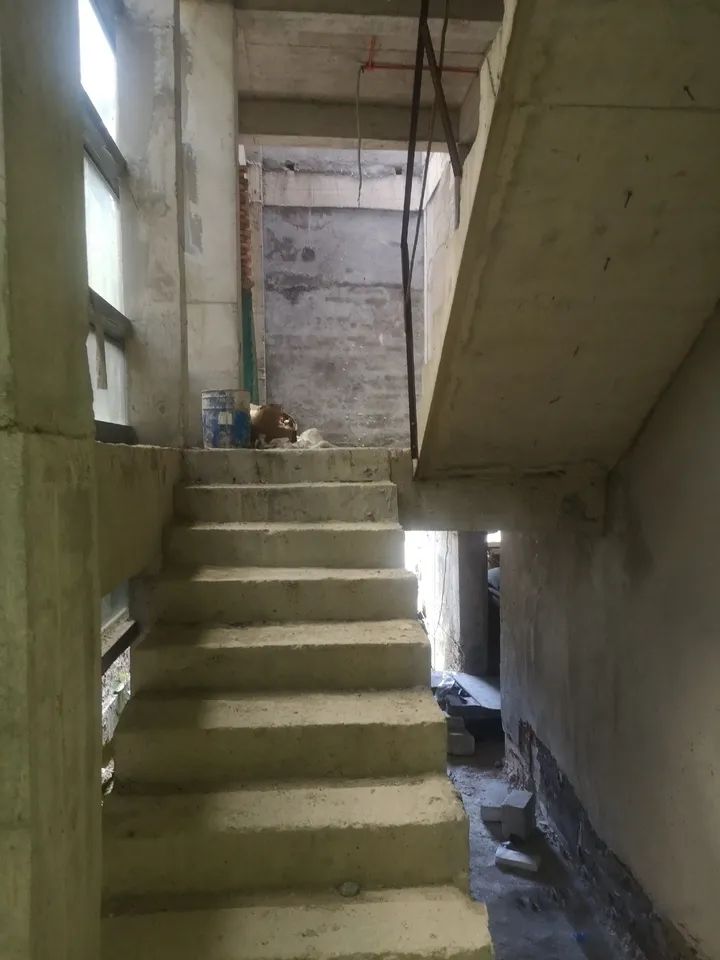 5146039208150764544.jpeg