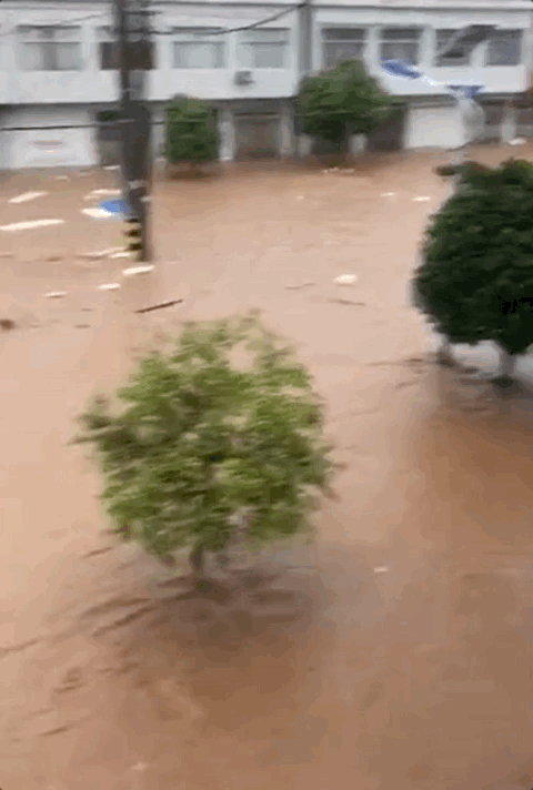6340894313784780800.gif