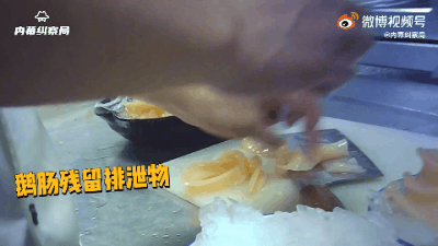481128495429779456.gif