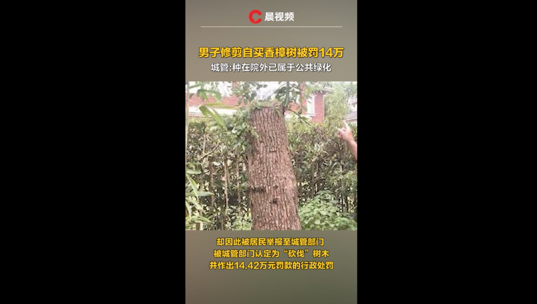 7193522044343676928.png