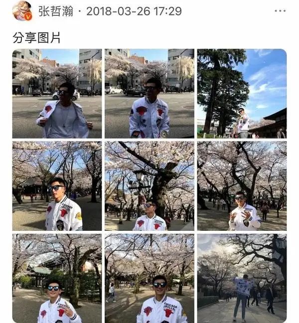 3515656695866994688.jpeg