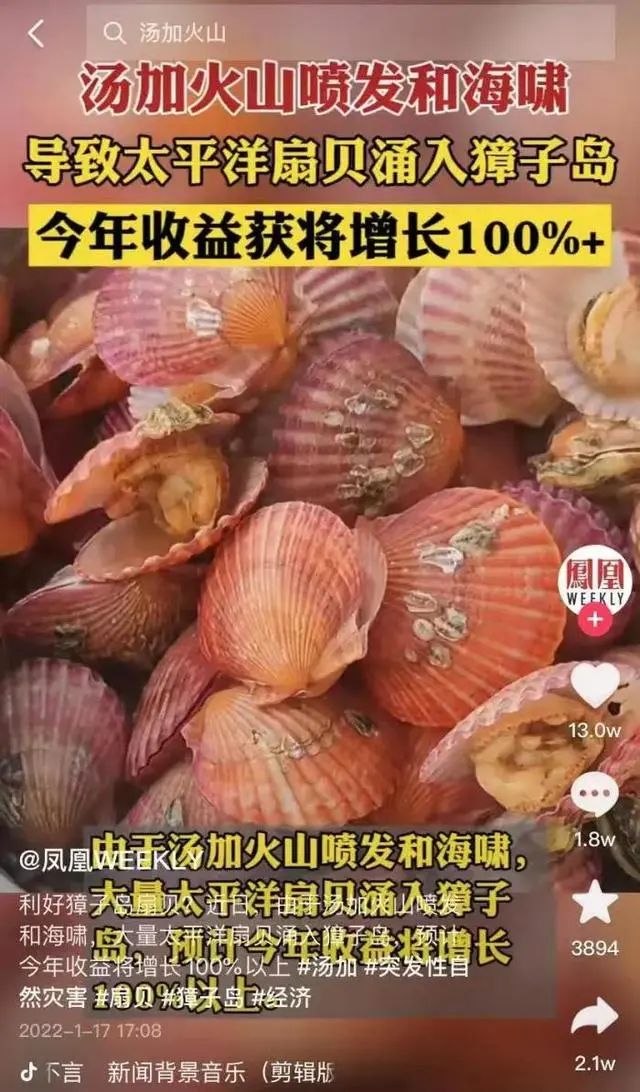 6515692766668067840.jpeg