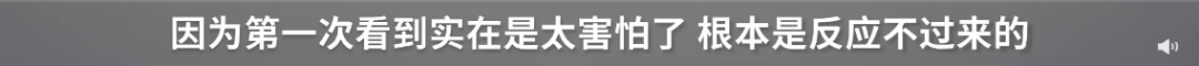 3851942031840739328.png