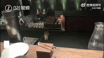 4697023728365054976.gif