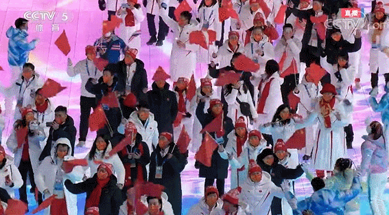 6517052732723978240.gif