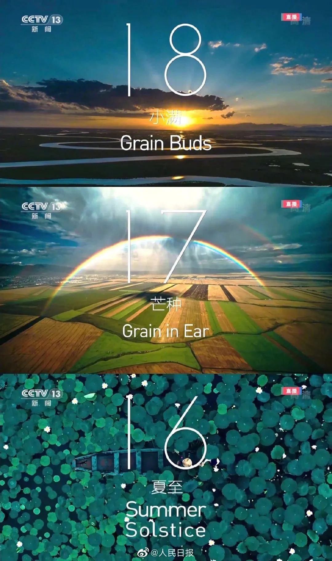 3727859429134586880.jpeg