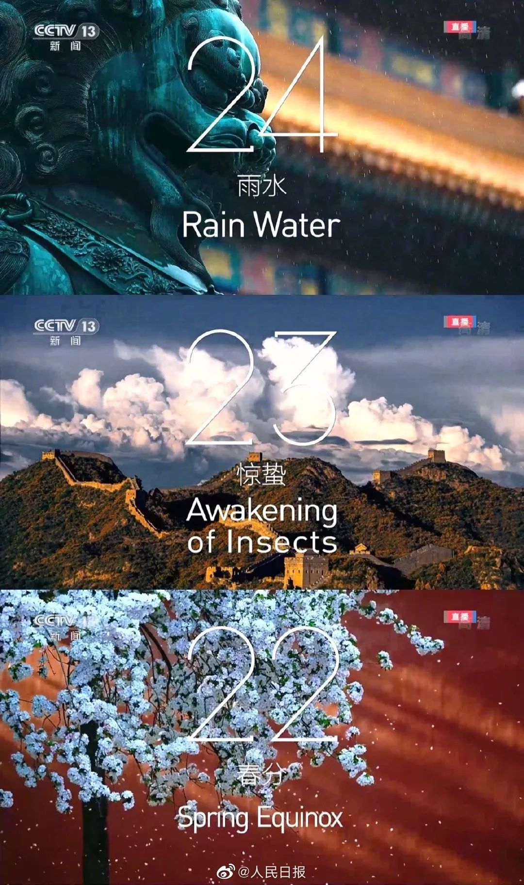 5597456522434025472.jpeg