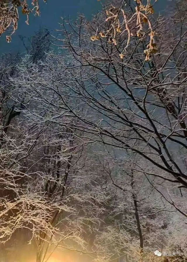 3828247940256235520.jpeg