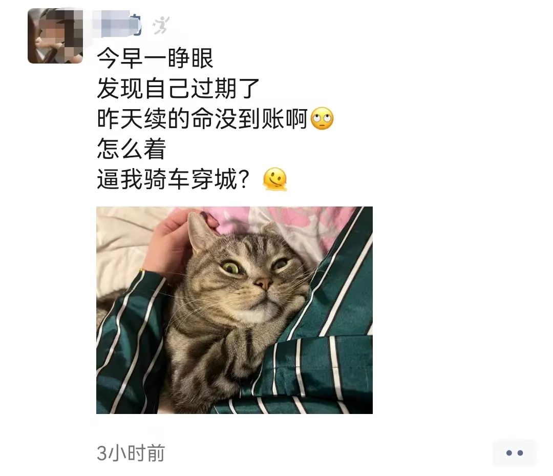 1581183827413726208.jpeg