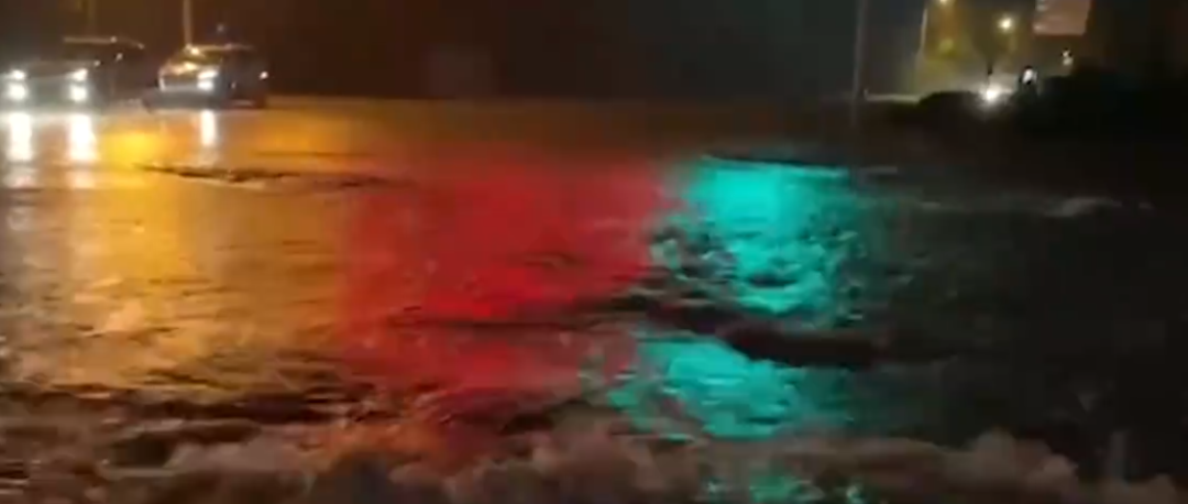 5078294349654533120.png