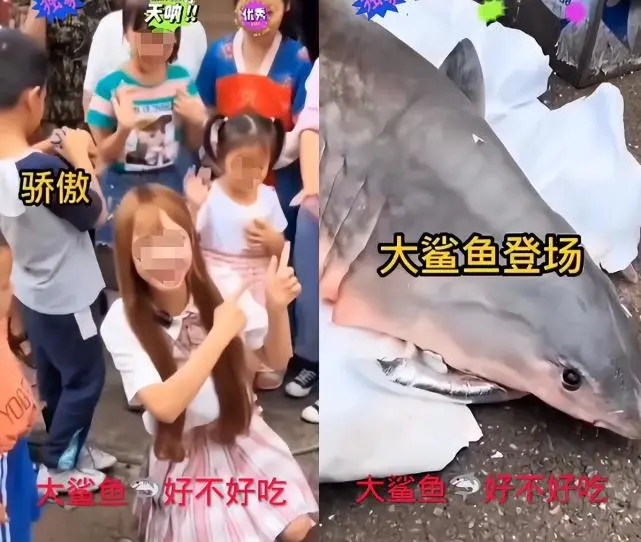 282639304403519488.png