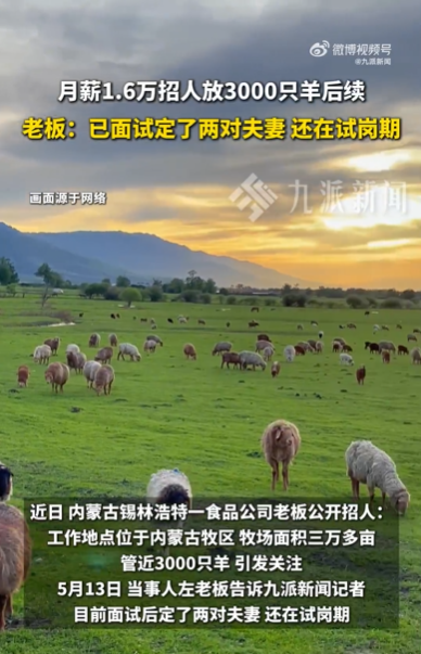 内蒙古一老板招人放3000只羊：两对80后夫妻已上班，1.6万元是两人共同月薪，大草原常年见不到人，但有Wi-Fi (http://www.chichengjiaxiao.cn/) caij 第1张