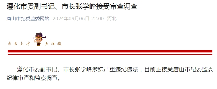 深夜官宣！张学峰被查，担任市长刚8个多月