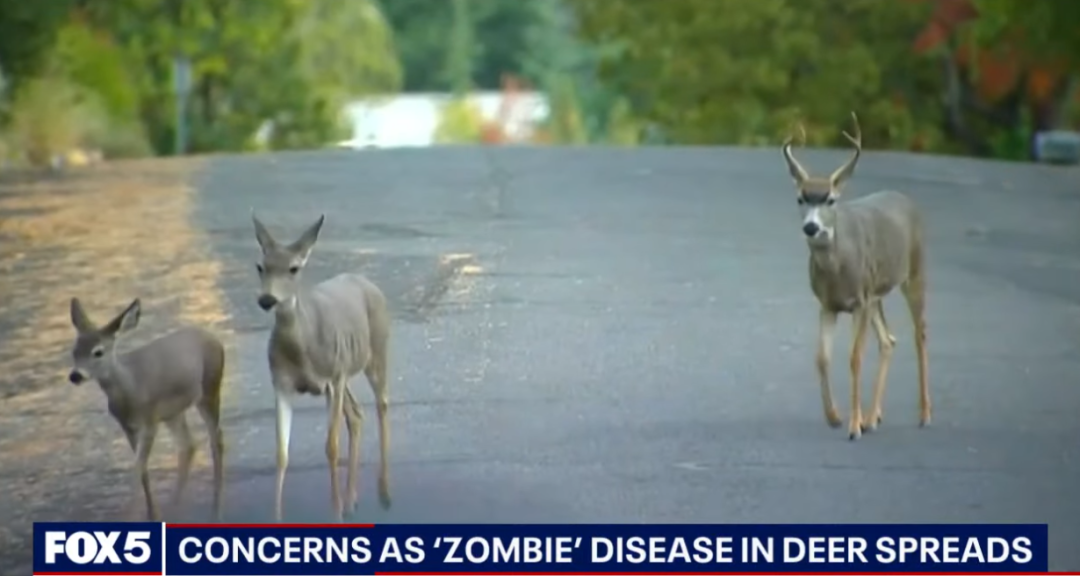 美国出现“僵尸鹿”病毒，专家警告：有可能传染人类