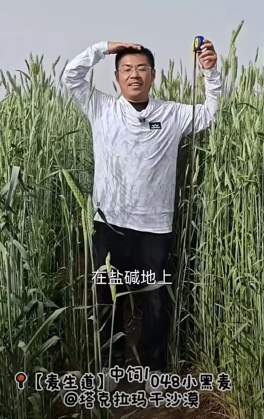 让袁隆平挠头的博士，带来好消息！ (http://www.kingbaby.com.cn/) wap 第1张