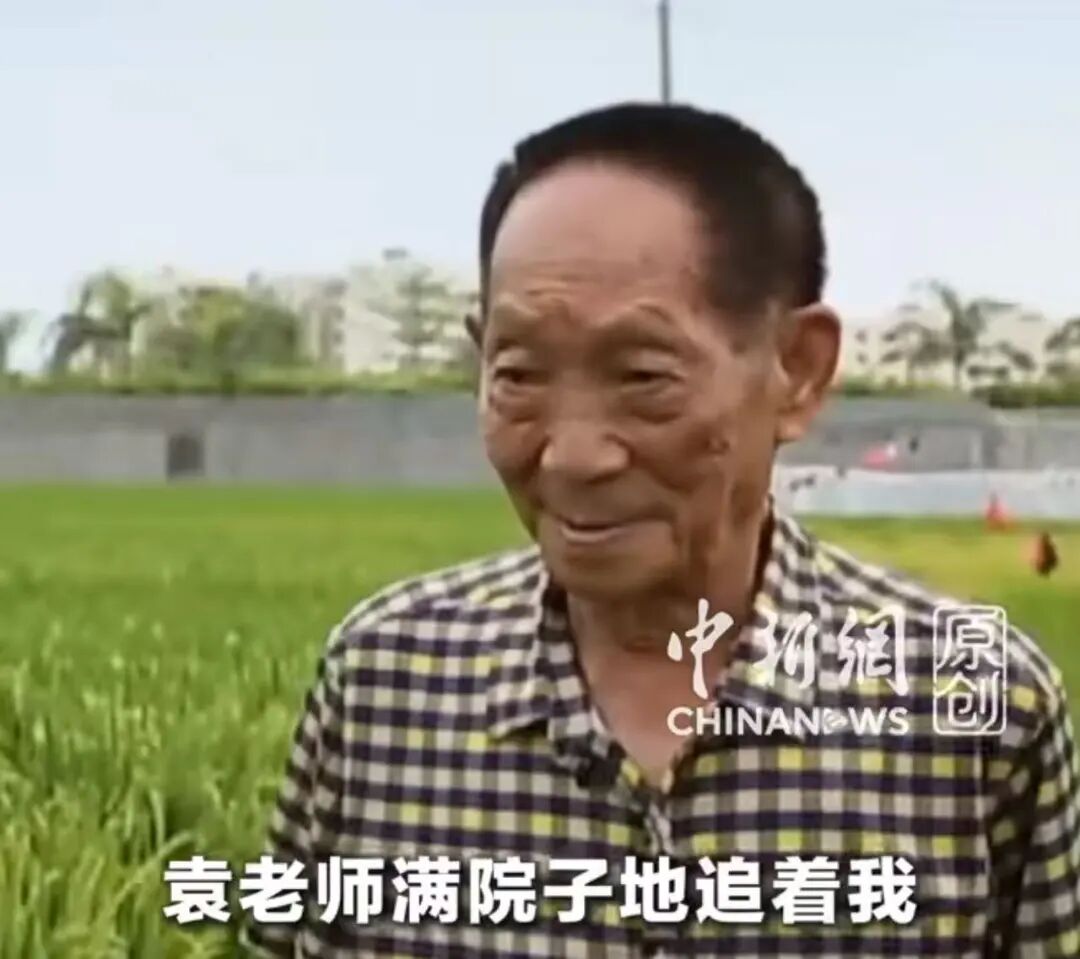 让袁隆平挠头的博士，带来好消息！ (http://www.kingbaby.com.cn/) wap 第4张