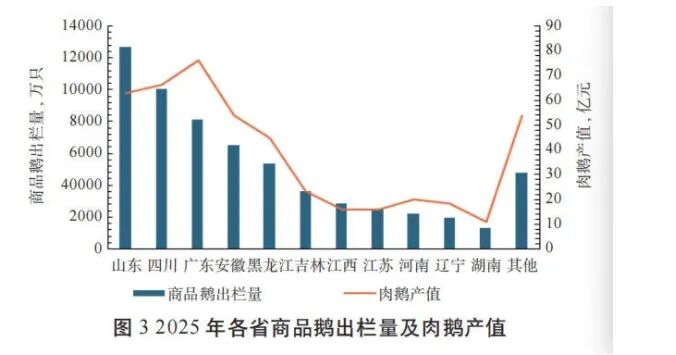 鹅腿争议背后：肉鸭收购价不超过4元/斤，肉鹅收购价超7元/斤！龙头企业2025年养鹅业务陷入低谷 (http://armanice.com/) wap 第1张
