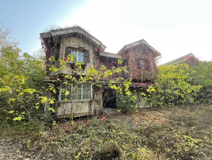 黄其森留下的“一地杂草”与“一纸债权”：北京枫桥别墅170套独栋再上法拍台，总价10.9亿元起拍 (http://www.kingbaby.com.cn/) wap 第7张