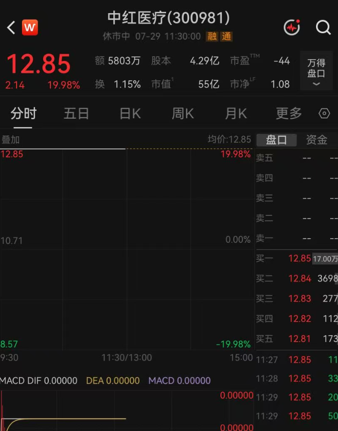 净利润最高预增35倍！300981，“一”字涨停 (http://www.kingbaby.com.cn/) wap 第1张