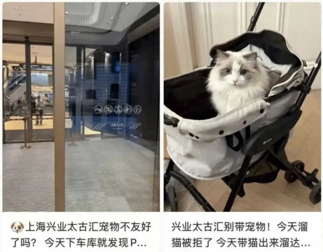 海底捞宣布：带狗狗吃火锅，不接待了！“宠物友好”边界在哪？多地已调整 (http://armanice.com/) wap 第2张