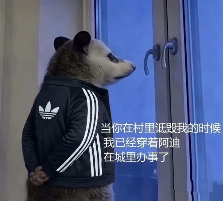 “进城办事”火了！官方接梗造爆款，每经记者实探阿迪达斯成都门店：定制T恤订单暴增4倍，还有人想印“进城不办事” (http://www.kingbaby.com.cn/) wap 第2张
