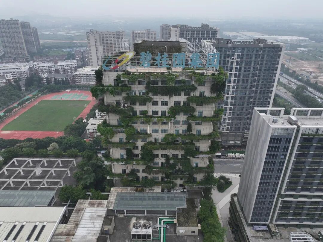 碧桂园召回全国区域总裁连开2天闭门会，到底在谋划什么？杨惠妍：经营逻辑被彻底改写，短期阵痛难免，中长期却是行业走向成熟的重要契机 (http://www.kingbaby.com.cn/) wap 第3张