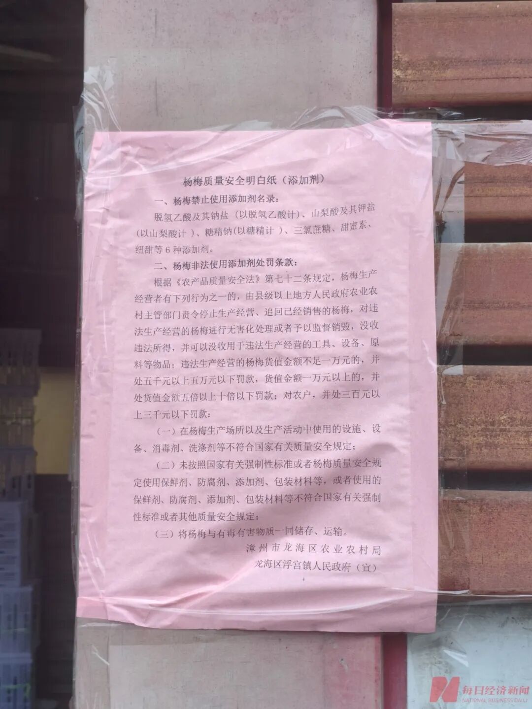 实探“泡药杨梅”风波后的漳州龙海：硬丝杨梅收购价跌至2元内！收购商：这个价格连工钱都付不起，没人愿意去摘，把老老实实的果农害惨了 (http://armanice.com/) wap 第1张