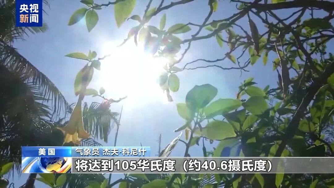 世界杯遇大“烤”：美国西部山火加剧，中东部高温突袭，“体感或至45‌℃‌”！非洲球迷：这边实在太热，头都快热晕了 (http://www.kingbaby.com.cn/) wap 第4张