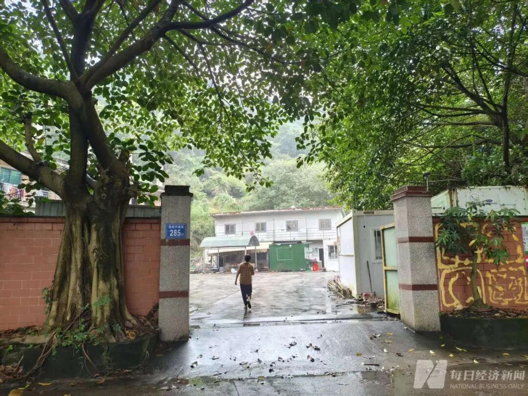 实探“泡药杨梅”风波后的漳州龙海：硬丝杨梅收购价跌至2元内！收购商：这个价格连工钱都付不起，没人愿意去摘，把老老实实的果农害惨了 (http://armanice.com/) wap 第2张
