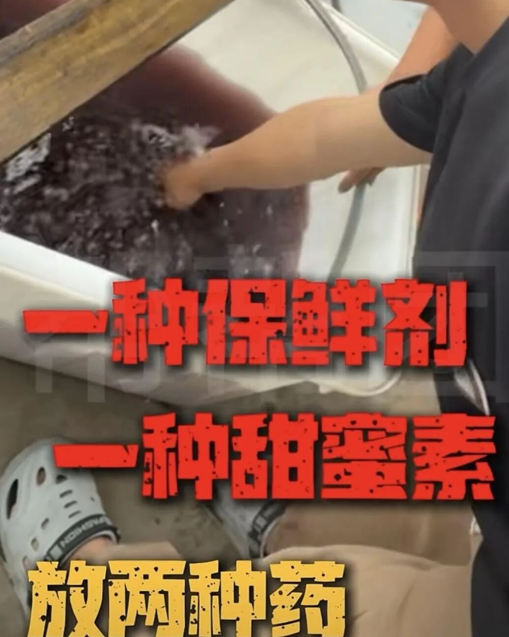 “泡药”风波下，杨梅价格大跳水，有温州商户“一天亏了三十几万元”！还能放心吃吗？ (http://dinkfamily.com/) wap 第1张