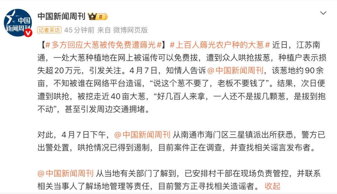 大葱遭哄抢，“好几百人，有人拔到抱不动”，种植户称损失超20万元！知情人：有人造谣老板不要钱；警方已出警 (http://www.photoreceiver.com/) wap 第1张