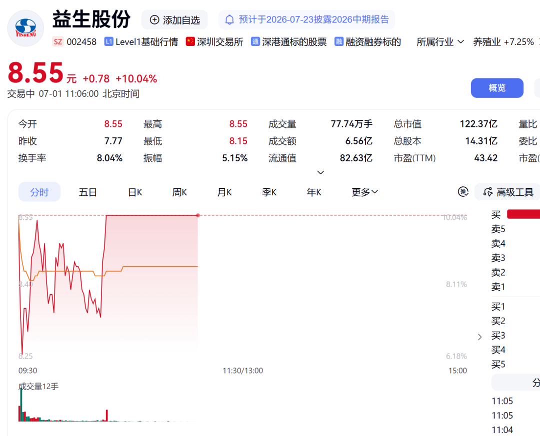 002458，涨停！业绩预增超78倍 (http://www.kingbaby.com.cn/) wap 第1张