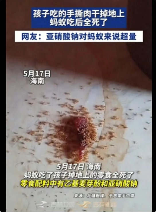 孩子零食碎渣掉地上，蚂蚁吃完集体死亡 (http://dinkfamily.com/) wap 第1张