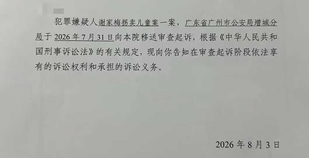 人贩子“梅姨”真实姓名曝光 (http://www.kingbaby.com.cn/) wap 第2张