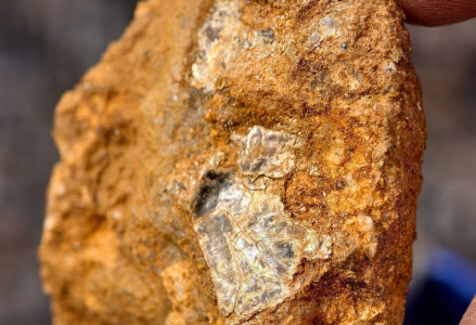 “爸爸，这座山下有黄金……”8岁男孩与家人爬山时凭草辨矿，用AI比对后爸爸上报相关部门，专家：该地大概率含金 (http://www.hilij.com/) p 第3张