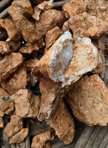 “爸爸，这座山下有黄金……”8岁男孩与家人爬山时凭草辨矿，用AI比对后爸爸上报相关部门，专家：该地大概率含金 (http://www.hilij.com/) p 第6张