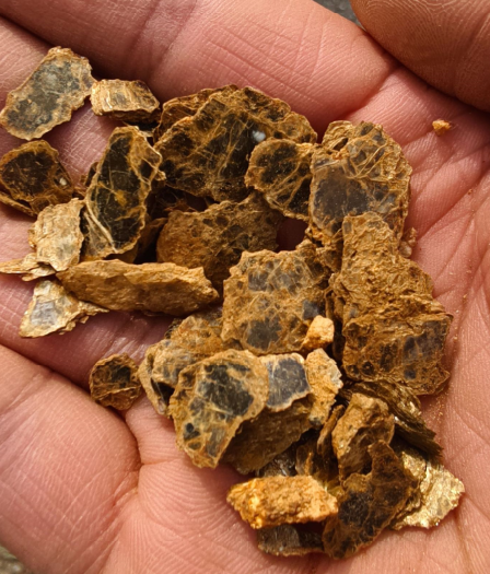 “爸爸，这座山下有黄金……”8岁男孩与家人爬山时凭草辨矿，用AI比对后爸爸上报相关部门，专家：该地大概率含金 (http://www.hilij.com/) p 第5张