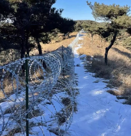 泰山景区周边装上135公里刀片刺绳镀锌隔离网？泰安文旅局工作人员：不了解此事，也管不了景区；景区工作人员：不掌握此事 (http://www.kingbaby.com.cn/) wap 第5张